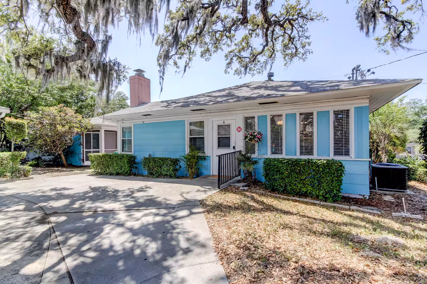 Dunedin Rental - Park Street A